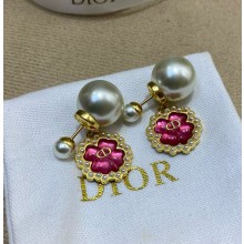 Dior cruise Earrings 05-2025