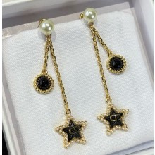 Dior Earrings 01-2025