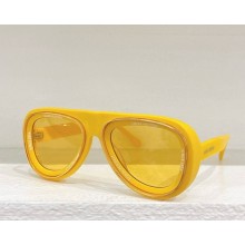 Louis Vuitton Sunglasses Z2445U-06 2024