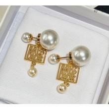 Dior Earrings 1030-01 2024