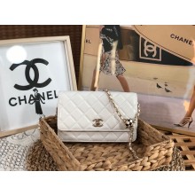 chanel Lambskin,enamel & Gold-tone Metal black wallet on chain bag AP1450 white 2023