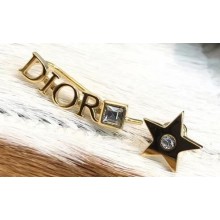 Dior Earrings 65 2019