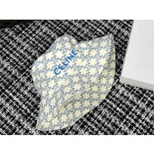 celine Triomphe bucket hat 01 2024