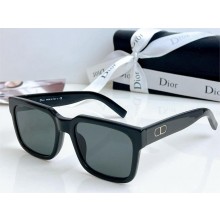 DIOR CD SIU SUNGLASSES 02 2024