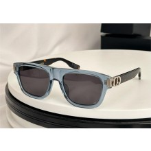 DIOR CD ICON S3F SUNGLASSES 05 2024