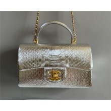 Chanel Mini Flap Bag with Top Handle in python leather AS2431 06 2024