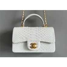 Chanel Mini Flap Bag with Top Handle in python leather AS2431 08 2024