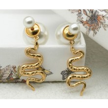 Dior Earrings 23-2025