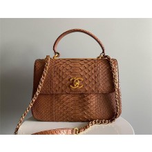 Chanel Trendy CC Flap With Top Handle Bag in python leather brown 2024