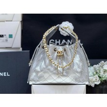 Chanel silver 25 Small Handbag in Grained Calfskin & Gold-Tone Metal AS5293 2025(ORIGINAL QUALITY)