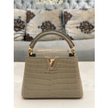 louis vuitton mini CAPUCINES bag in matt alligator leather gray with gold hardware