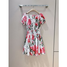 D&G pink flowers printed dress 2023