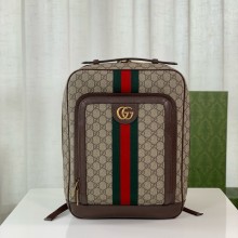 GUCCI Ophidia GG medium backpack IN Beige and ebony GG Supreme canvas 745718 2024