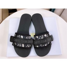 Dior Blue Oblique Print Dio(r)evolution Slides