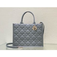 Dior Medium Book Tote Bag in gray Macrocannage Calfskin 2024