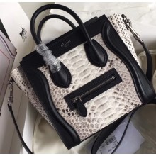 Celine Python Luggage Nano Bag Gray