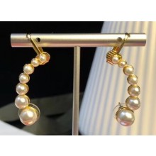 Celine Earrings C14