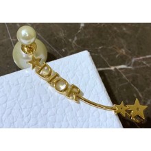 Dior Earrings 101 2019