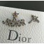 Dior Asymmetric Earrings 05 2018