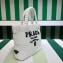 Prada Small crochet tote bag 1BG422 White 2023