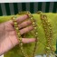 Prada padded nylon chain Shoulder bag 1BG468 Grass Green 2023