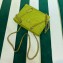 Prada padded nylon chain Shoulder bag 1BG468 Grass Green 2023
