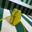 Prada Leather Triangle mini-pouch bag 1NR015 Yellow 2023