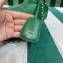 Prada Re-Edition 2005 Padded nappa-leather shoulder bag 1BH204 Green 2023