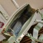 Prada Galleria Spectrum Leather Bag 1BA863 Light Green 2023