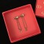 Dior Earrings 25 2018