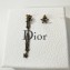 Dior Earrings 26 2018