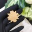 Chanel Brooch 73 2018