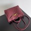 Bottega Veneta Intrecciato leather Small Andiamo top handle Bag Burgundy