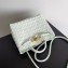 Bottega Veneta Intrecciato leather Small Andiamo top handle Bag Pale Green