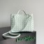 Bottega Veneta Intrecciato leather Small Andiamo top handle Bag Pale Green