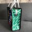 Balenciaga Print City Inspired Bazar Mini XS Shopping Bag Paris Green 2018