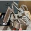 Prada Heel 13.5cm leather platform sandals 1XP48B Metallic Silver 2023