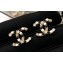 Chanel Stone CC Stud Earrings Black/White/Gold 2018