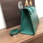 Goyard Wooden Handle Saigon PM Tote Bag Green