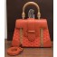 Goyard Wooden Handle Saigon PM Tote Bag Orange