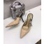 Dior Heel 9.5cm J'Adior Clear Slingback Pumps High-Heeled Shoe in Patent Leather Apricot 2018