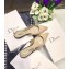 Dior J'Adior Ballet Clear Slingback Pumps Shoe in Patent Leather Apricot 2018