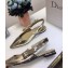 Dior Sweet-D Slingback Ballet Pumps Shoe Gold 2018