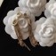Chanel Earrings 36 2018