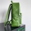Bottega Veneta Small Intrecciato leather Backpack Bag Green 2023