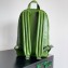 Bottega Veneta Small Intrecciato leather Backpack Bag Green 2023
