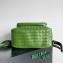 Bottega Veneta Small Intrecciato leather Backpack Bag Green 2023