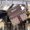 Gucci Ophidia GG Chain Wallet ‎546592 