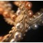 Chanel Brooch 71 2018