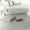 J'ADior Earrings 06 2018